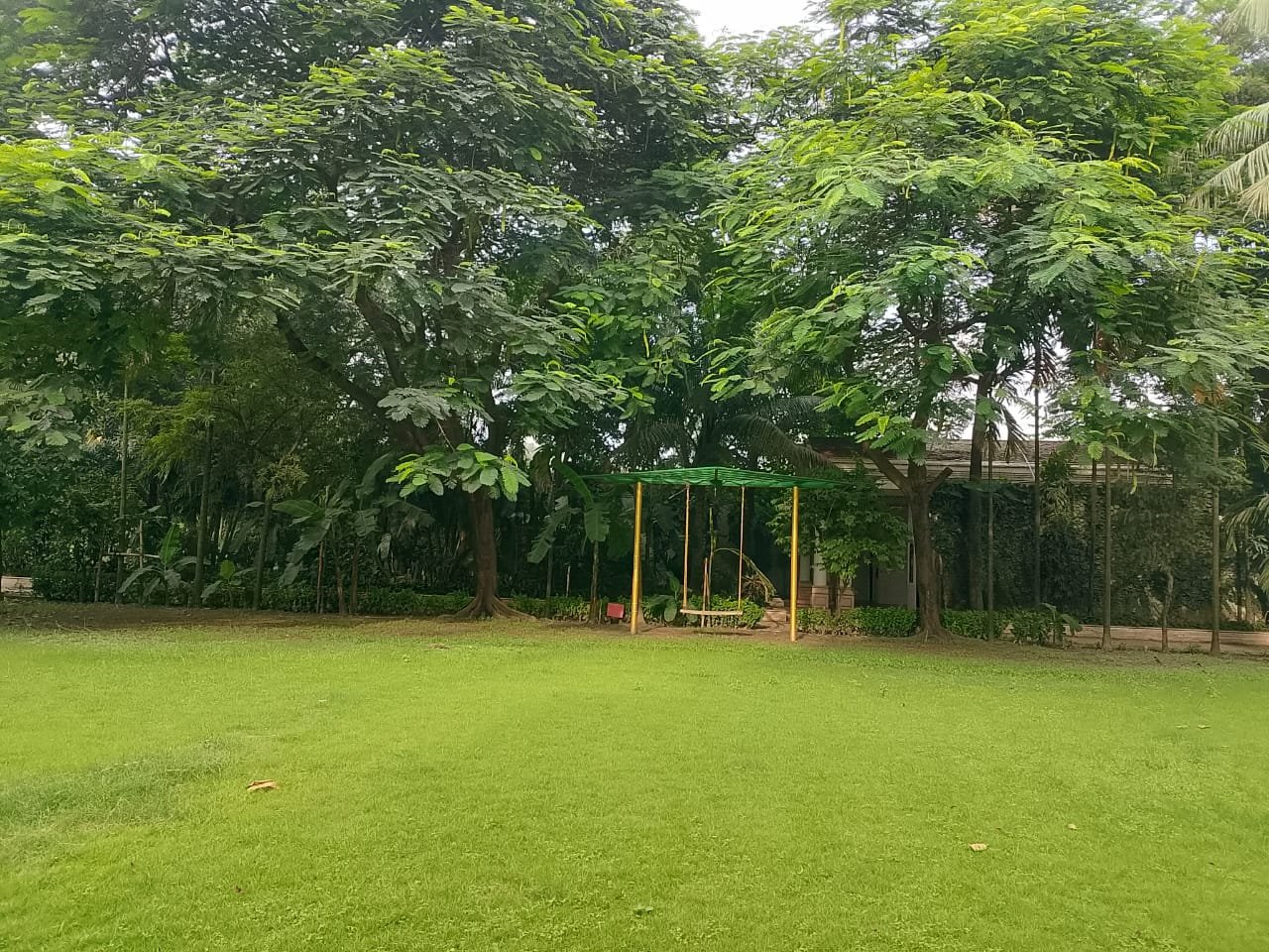 Garden Swing Set at Bulbul Event Spaces